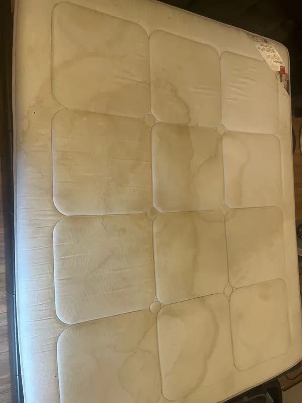 Réalisation Pure Clean Auto 37